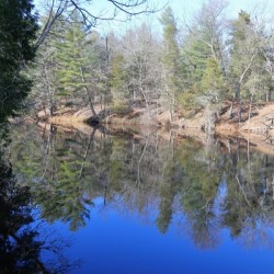 Reflections on the River